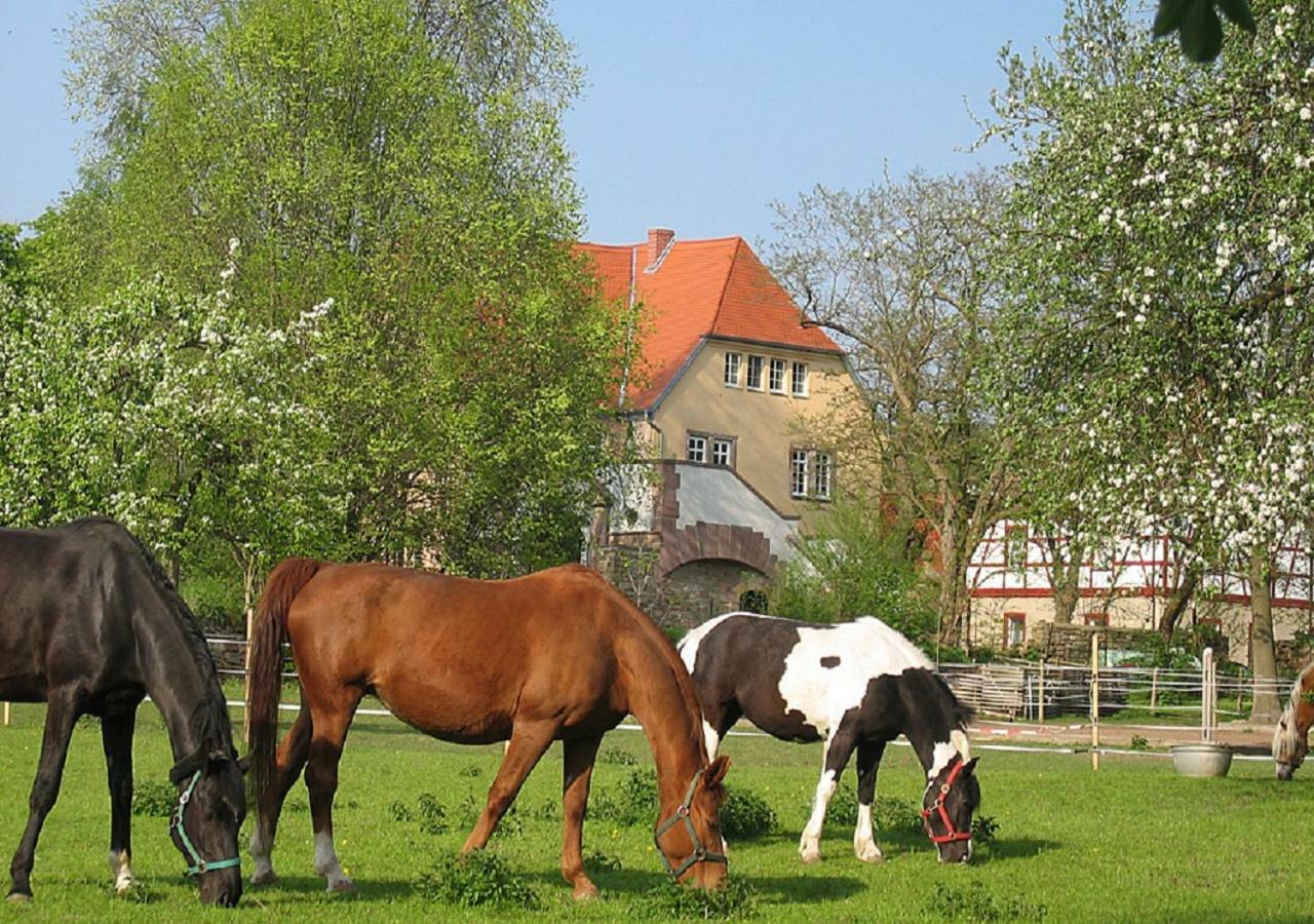 Appartamento Gutshaus Von Bismarck An der Schmucke Esterno foto
